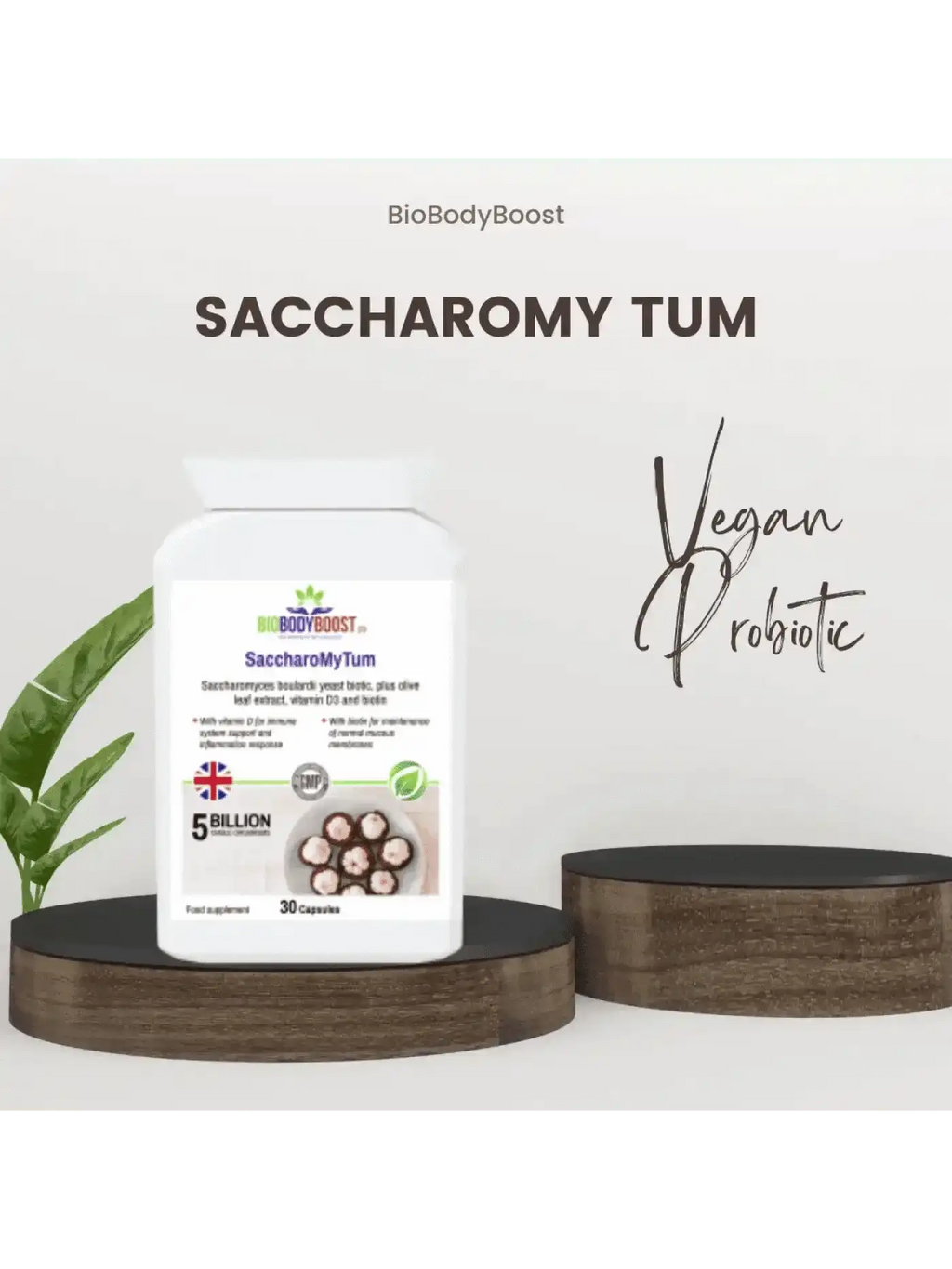 BioBodyBoost Plant-Based Travel Supplements Bundle