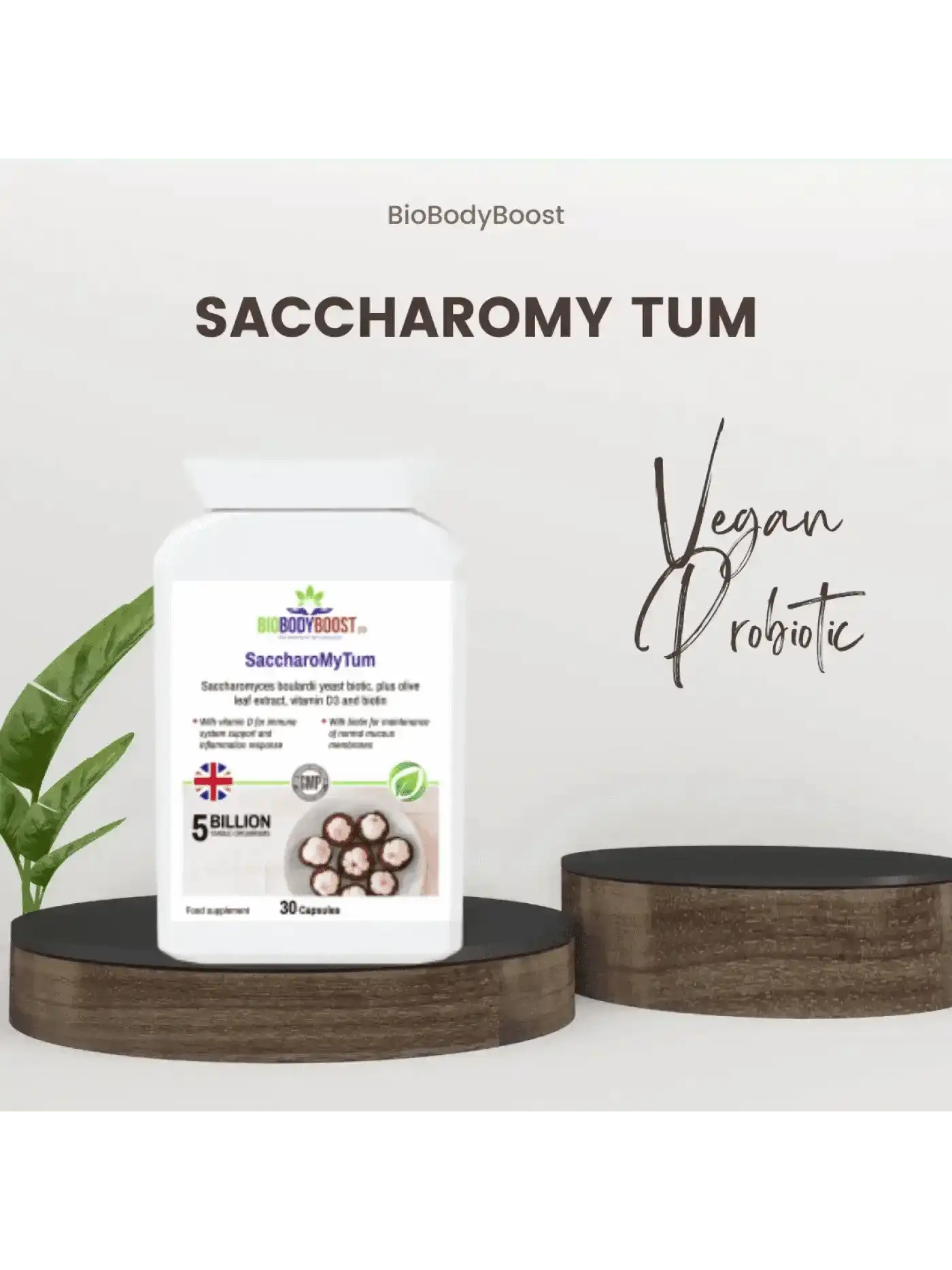 BioBodyBoost Plant-Based Travel Supplements Bundle