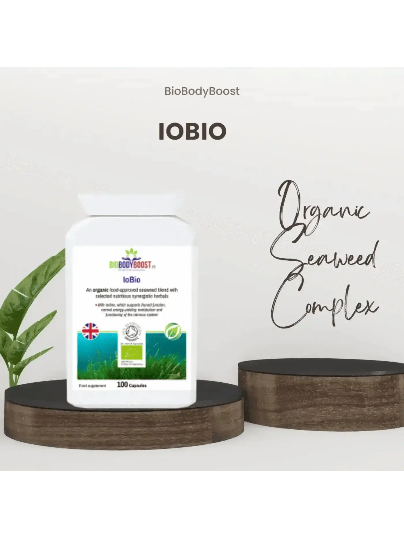 BioBodyBoost Plant-Based Travel Supplements Bundle